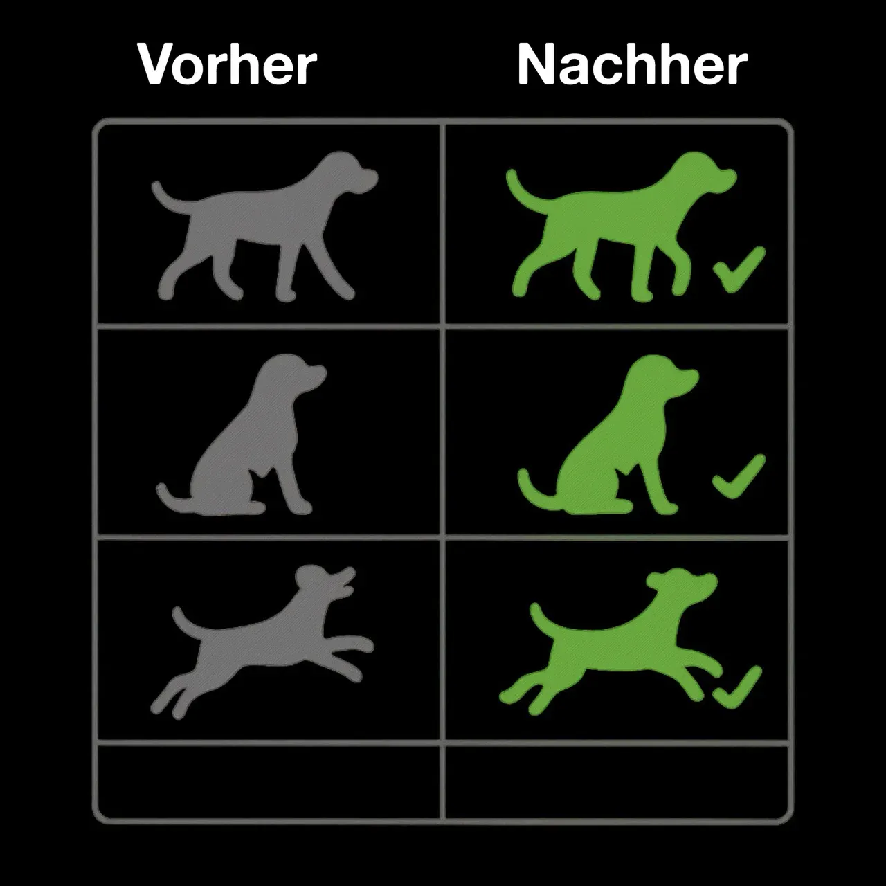 Infografik: Activity Improvement