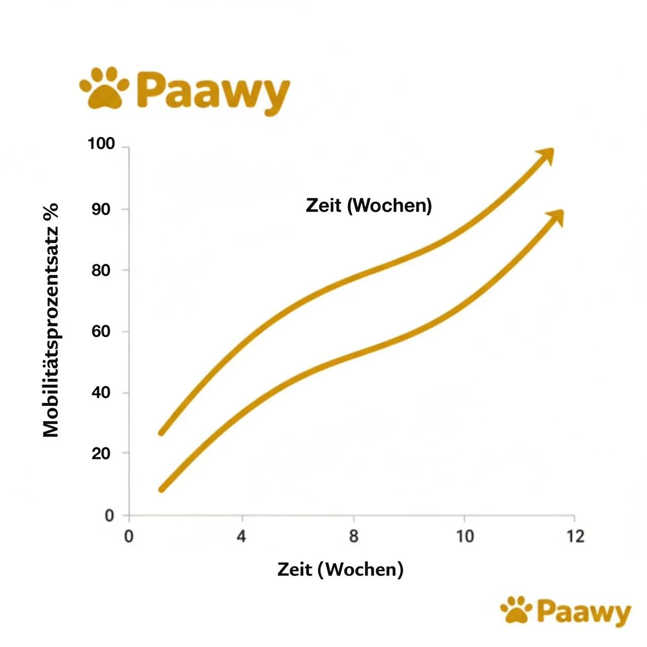Die 5 besten natürlichen mittel gegen Arthrose bei Hunden entdecken