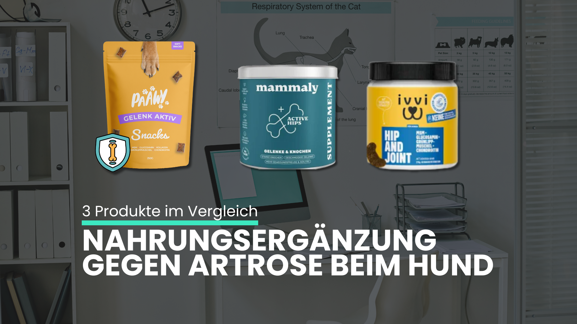Arthrose beim Hund: Die 3 besten Nahrungsergänzungen